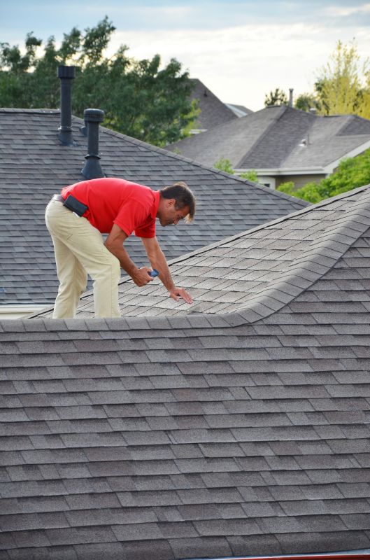 Roof Inspection Scene